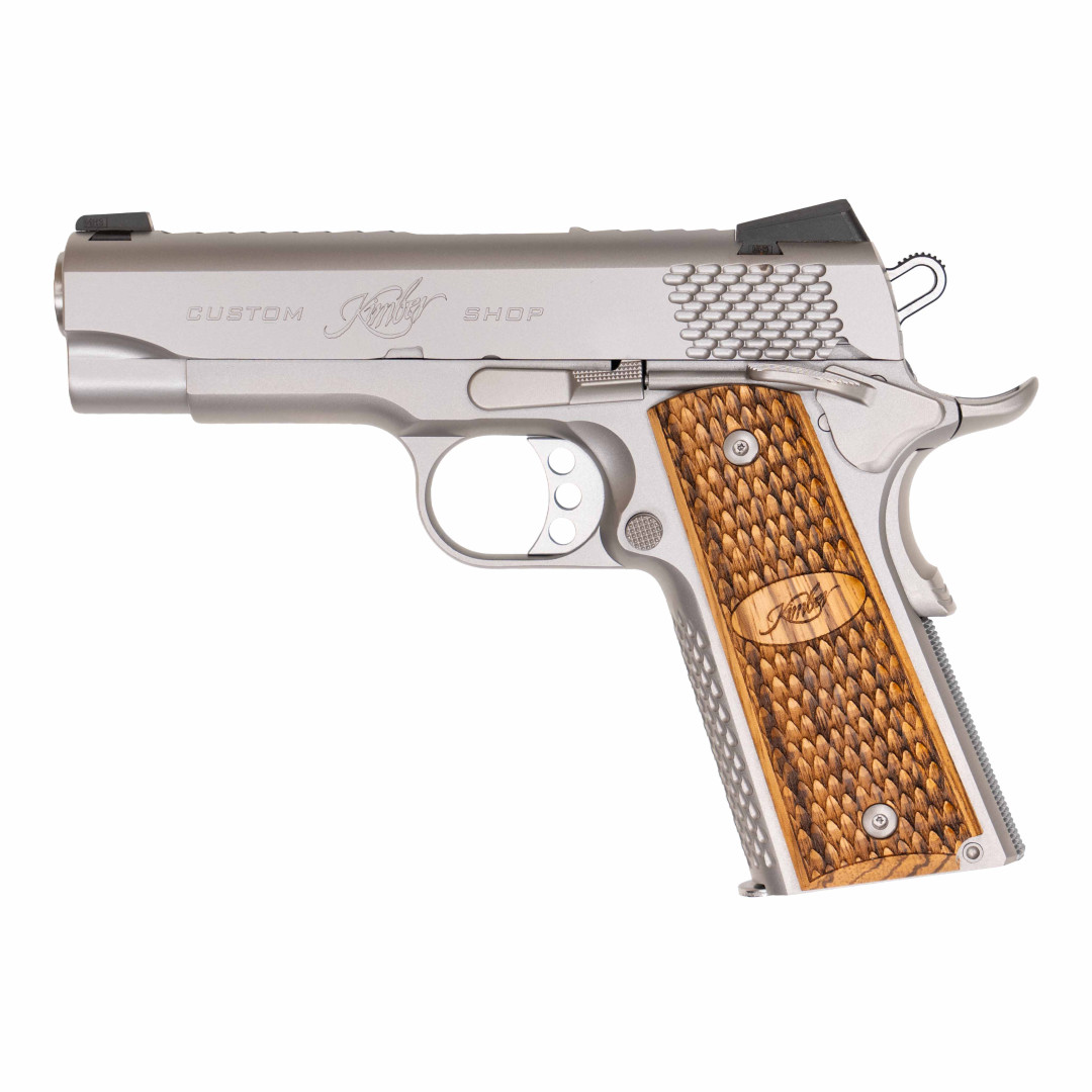 Kimber Stainless Pro Raptor II NS