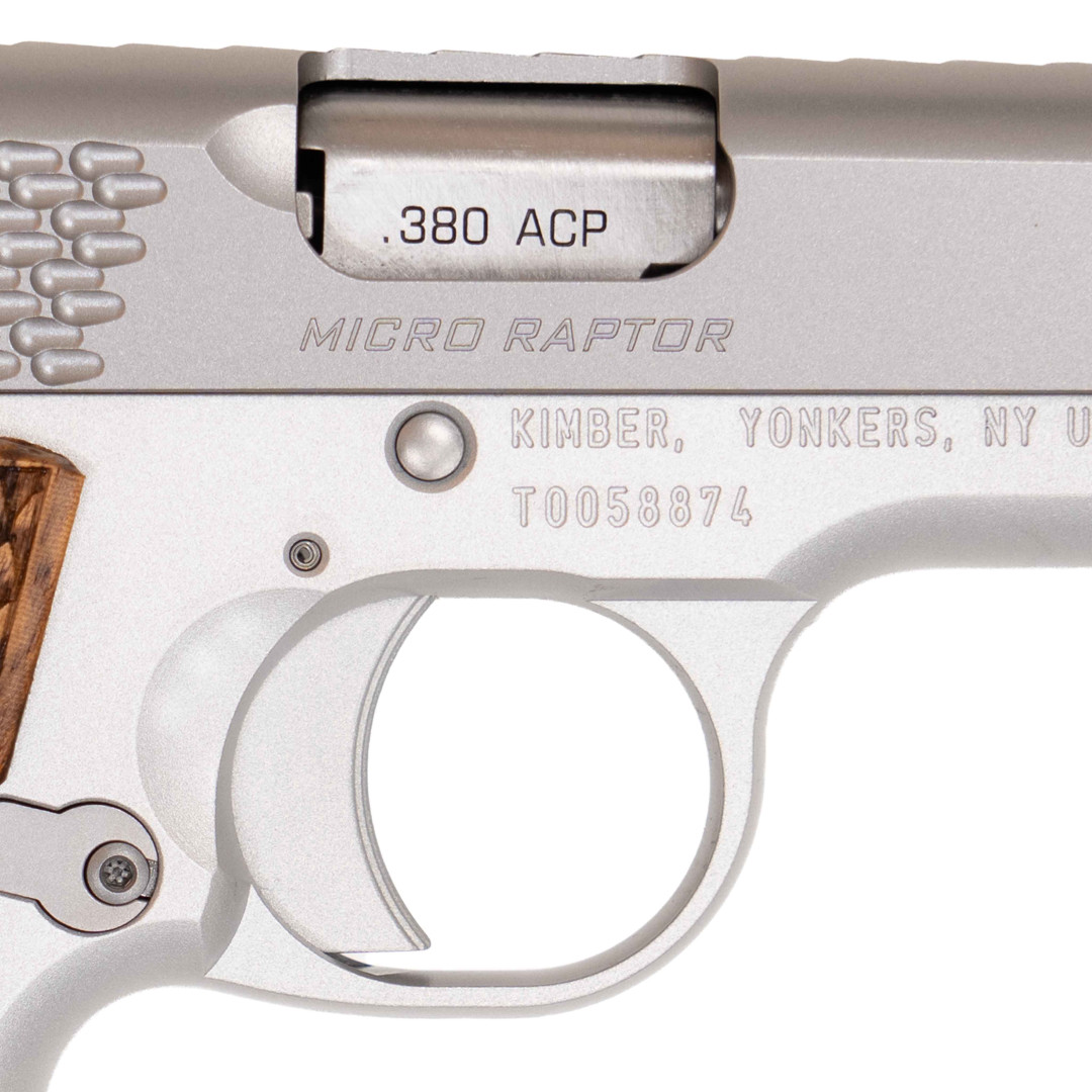 Kimber Micro 380 Raptor STS NS