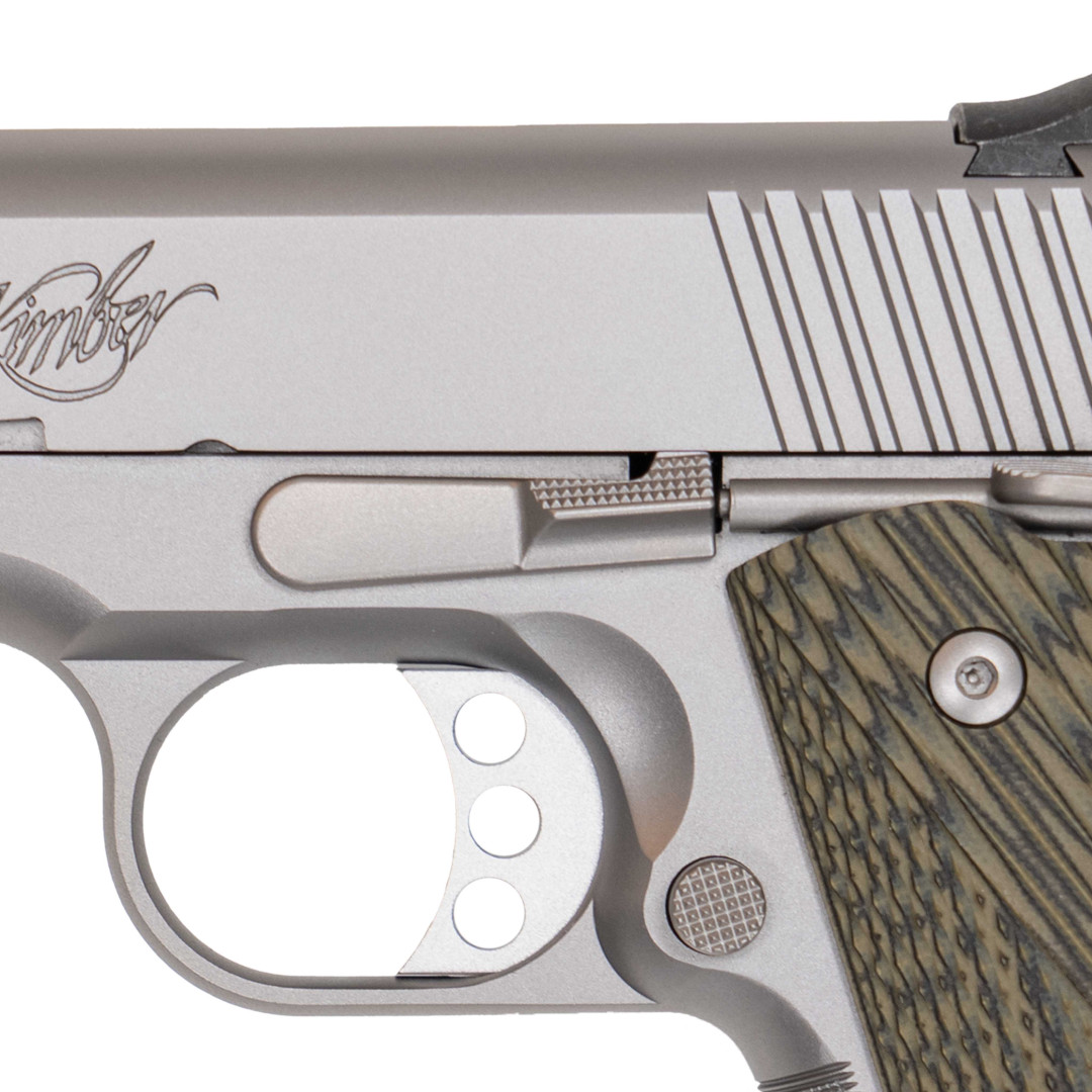 Kimber Stainless TLE/RL II TFS NS