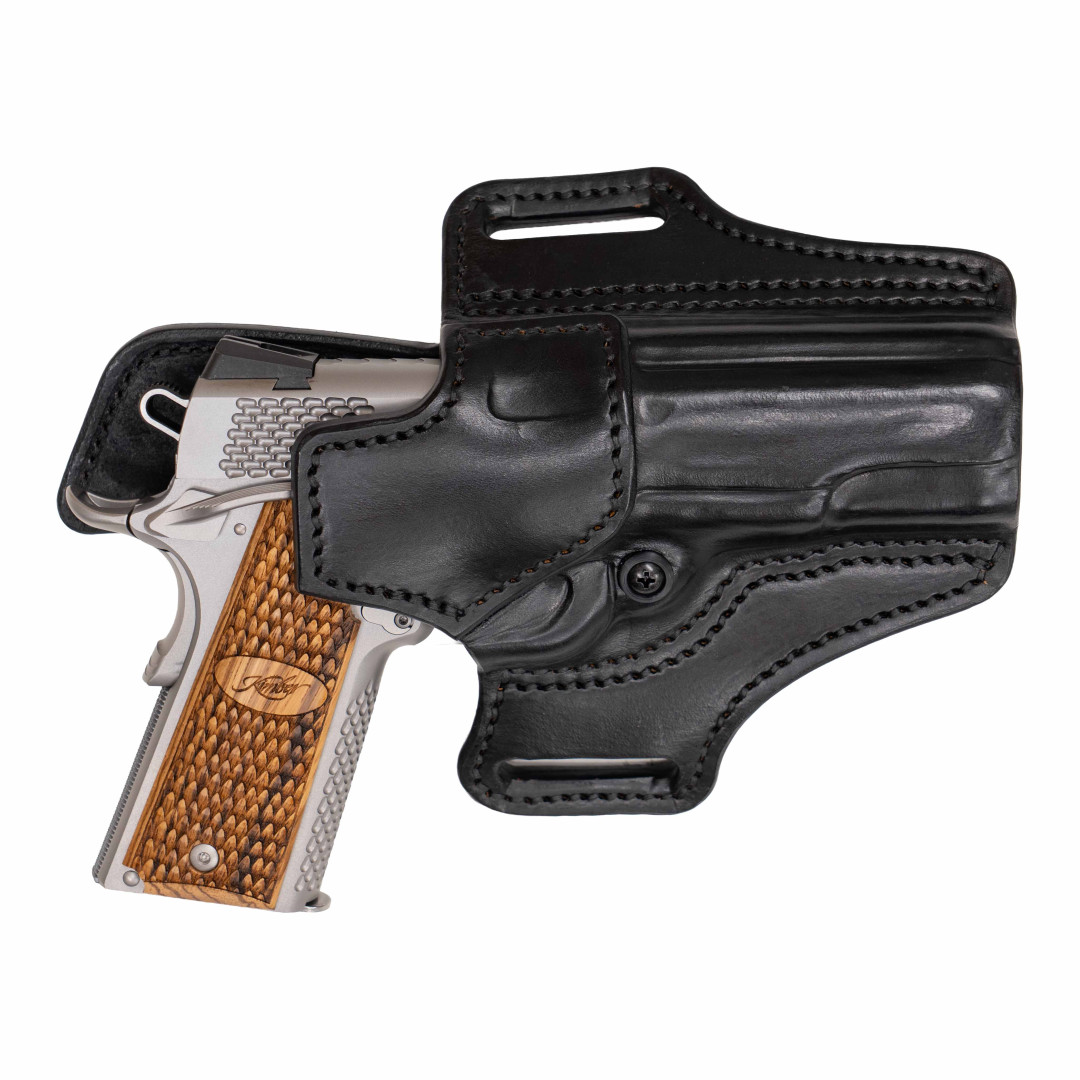 Kimber Stainless Pro Raptor II NS