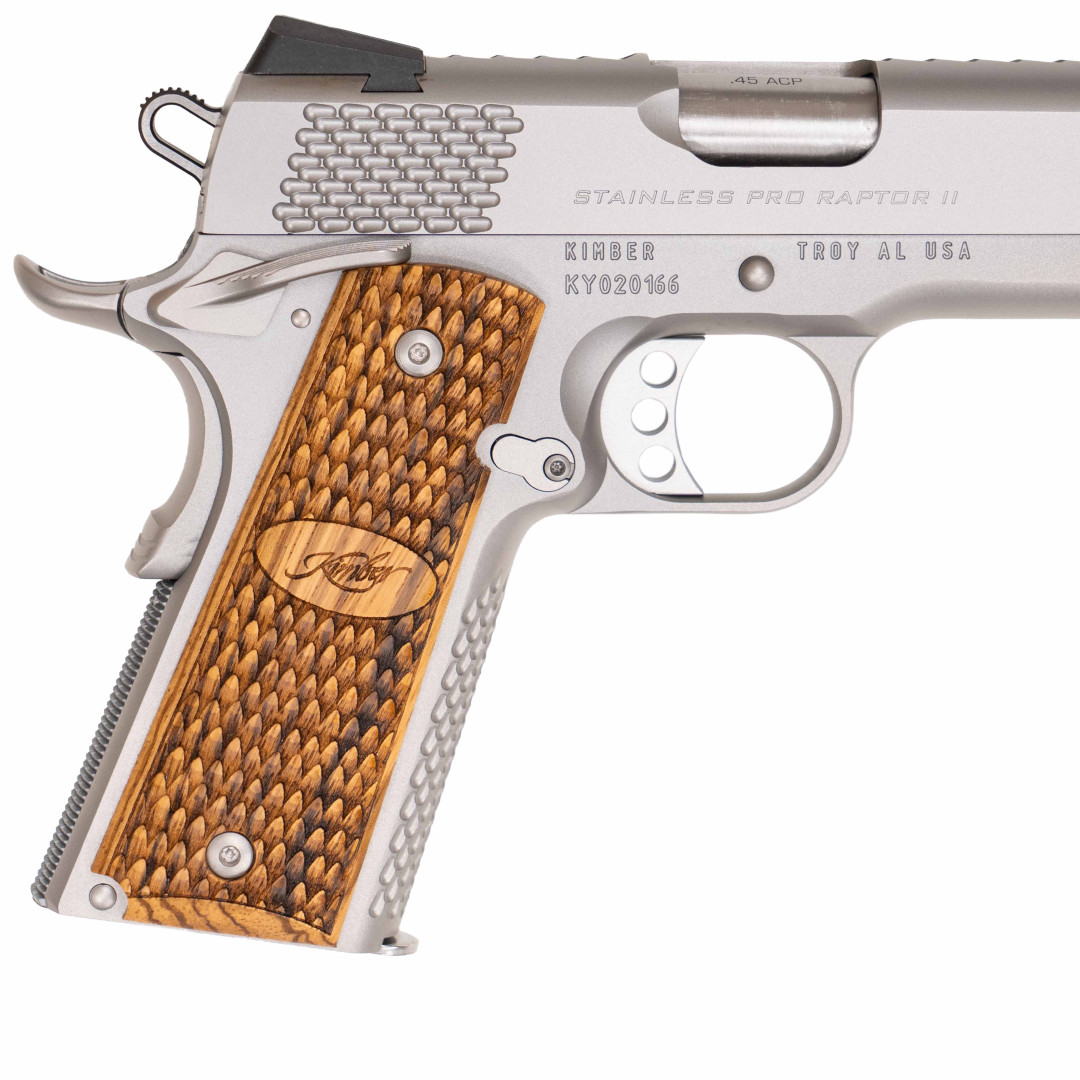Kimber Stainless Pro Raptor II NS