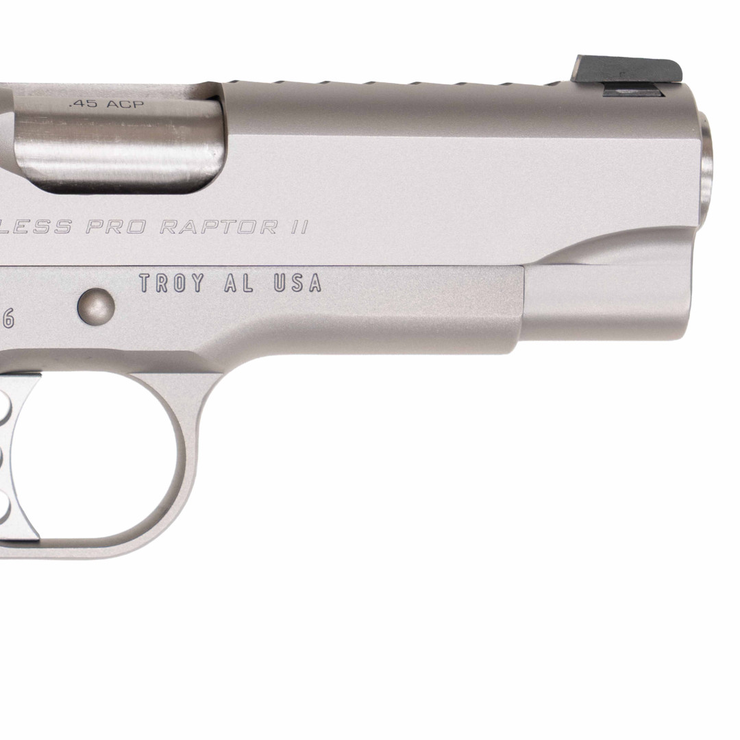 Kimber Stainless Pro Raptor II NS