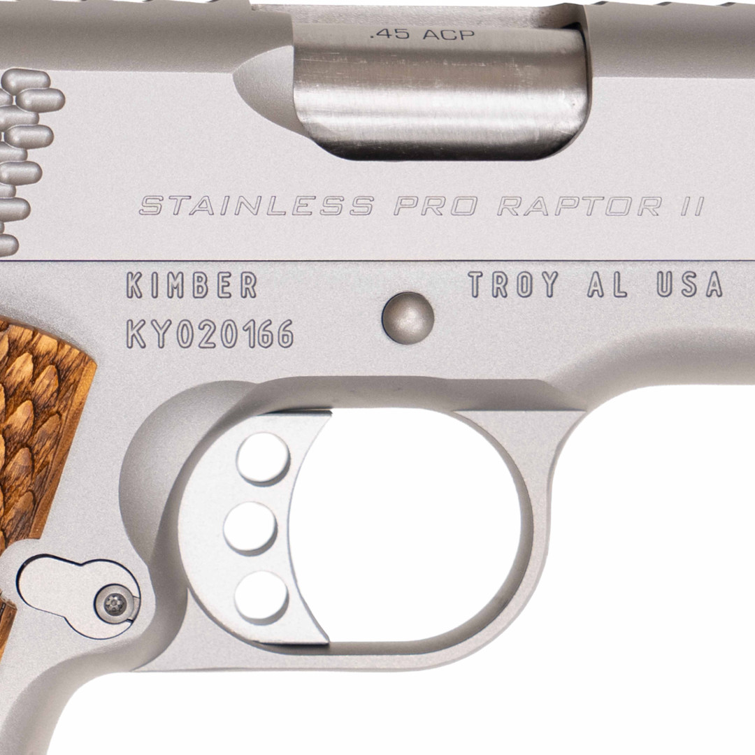 Kimber Stainless Pro Raptor II NS