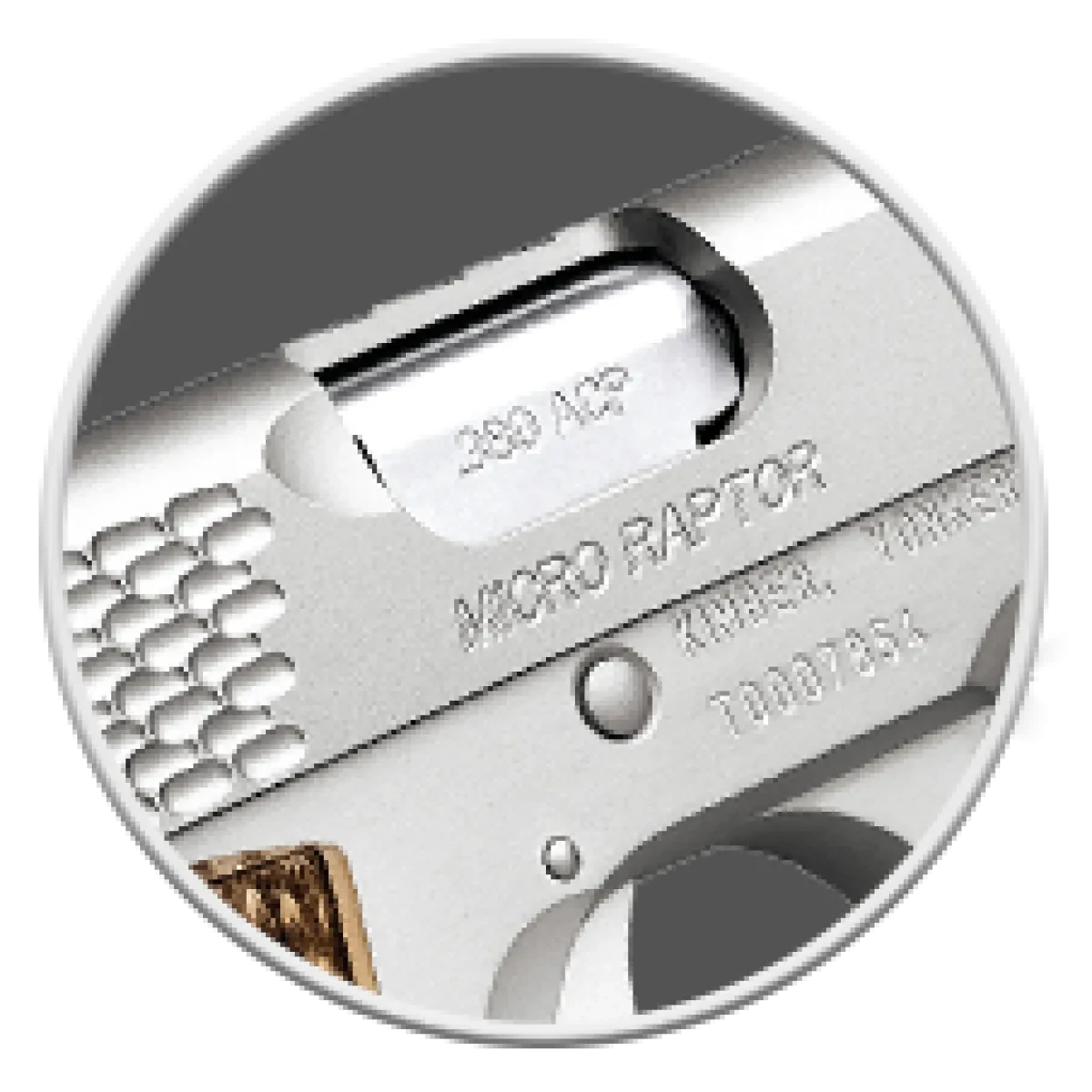 Kimber Micro 380 Raptor STS NS