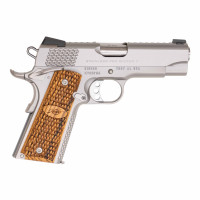 Kimber Stainless Pro Raptor II NS