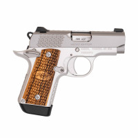 Kimber Micro 380 Raptor STS NS