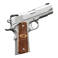 Kimber Stainless Pro Raptor II NS